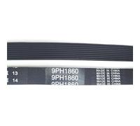 For Cinghia Di Trasmissione Asciugatrice | Hotpoint/Indesit/Ariston/Creda 9PH1860 1860H9, Asciugatrice, For Le Principali