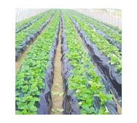 For la protezione dal gelo in serra, il controllo delle erbacce, le piante mantengono caldo, pellicola pacciamante da 10 a 50 m(0.014mm 2mx10m)