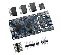 For Python Fpga Development Board 1.0e Graphical Programming Runs Risc-v