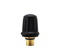 For Ricambi for pulitore a vapore Kach Kärcher SG4/4 CTK10 Valvola di sicurezza in ottone SC2/SC4/SC5/SV1802(For SG4 2 SG4 4)