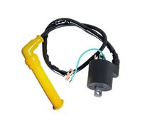 for Rincon 650 for TRX650 2003 2004 2005 Ignition Coil Spark Plug cap 30700-HN8-003 Ignition Kit