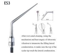For SIRONA AIR Scaler Dentale Ultrasonic Scaling Endo Perio Tip Oral Care GS ES