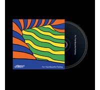 For That Beautiful Feeling (Cd)