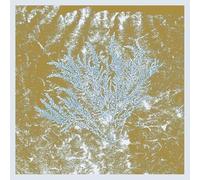 Huerco S. For Those of You Who Have Never (Vinyl LP)
