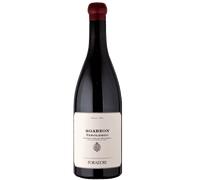 Sgarzon Teroldego Vigneti delle Dolomiti IGT 2023 (BIO) 0,75 l