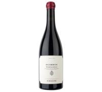 Foradori Teroldego Sgarzon Vigneti delle Dolomiti IGT 2023 0,75 ℓ