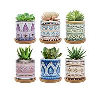 FORAGIFT Vaso per piante grasse da 7,5 cm, in ceramica colorata, per piante di cactus, piccoli vasi per piante da interni ed esterni, con vassoio in bambù, ideale per la decorazione di casa e ufficio,