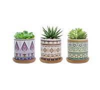 FORAGIFT Vaso per piante grasse da 7,5 cm, in ceramica colorata, per piante di cactus, piccoli vasi per piante da interni ed esterni, con vassoio in bambù, ideale per la decorazione di casa e ufficio,