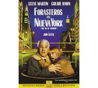 Forasteros en nueva york