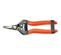 STOCKER Forbice agrumi a Lama Curva 16,5 cm