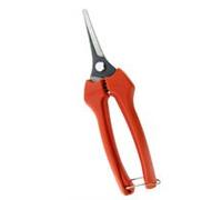 FORBICE COGLIUVA INOX PUNTA P128-19 MM 190