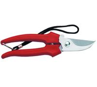 Forbice Raccolta a Mezzaluna 19 cm 35031 Ausonia 12 Blister