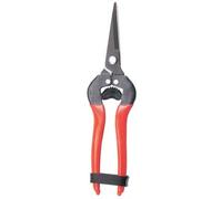 Forbice Raccolta a Punta Stars Dritta 19 cm 6 Pezzi