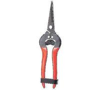 FORBICE RACCOLTA A PUNTA STARS DRITTA CM 19 PZ 6