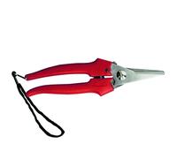 Forbice per raccolta lama lunga in acciaio inox - cm.19 12 pezzi Ausonia