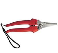 FORBICE RACCOLTA LAMA LUNGA- - cm.19 - 31327 - 12 pezzi AUSONIA