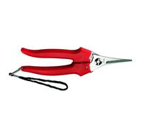 Forbice Raccolta Lama Stretta 19 cm 31329 Ausonia 12 Blister
