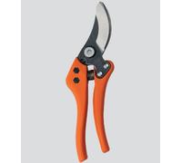 FORBICE VIGNA PRADINES P1-23