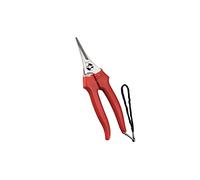 FORBICI COGLIUVA 'LAME STRETTE' art. 31329 - cm 19 AUSONIA 6 PZ