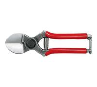FORBICI DA FRUTTETO AUSONIA 20 cm