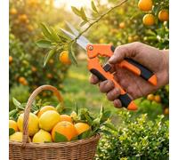 Forbici da giardinaggio da 16,5 cm con lame dritte in acciaio inox, arancione, confezione da 1