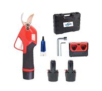 Forbici da giardino elettriche, Potatore a batteria da 10,8 V Potatura agli ioni di litio Taglio Forbici efficienti Bonsai Rami di alberi elettrici Utensili elettrici da giardino SC-2601(SET2 10.8V)
