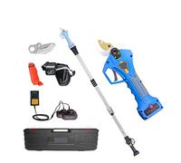 Forbici da giardino elettriche, Potatore elettrico senza spazzole, cesoie da giardino for alberi da frutto, rami bonsai, batteria for potatura senza fili(Shears pole(Case))