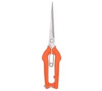 Forbici da potatura for giardinaggio for for innesto in acciaio inossidabile