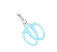 Forbici floreali per tagliare fiori ed erbe, lama in acciaio inox con manico blu, forbici da giardino compatte per bonsai e coltura idroponica