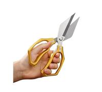 Forbici for ossa di pollo in acciaio inossidabile Coltello da cucina for alimenti domestici for pesce e anatra(Golden)