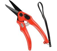 Forbici per artigli pinza per artigli coltello per artigli forbici per artigl...