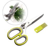Forbici per erbe aromatiche Gadget Tritacarne in acciaio inossidabile Forbici