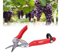 Forbici per la Raccolta della Frutta, Forbici per la Raccolta della Frutta e dei Fiori, Forbici per Potatura da Giardino Portatili per la Potatura di Rami di Fiori e Raccolta del Giardino, Frutta e Ve