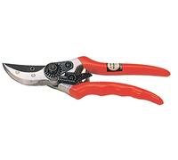 21907 Q.TA' 6 FORBICI P/POTARE PROFESS DURALL SAMURAI KS-4T