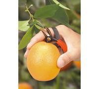 FORBICI PER RACCOGLIERE GLI AGRUMI PROFESSIONALE FORBICE COGLIAGRUMI RACCOLTA