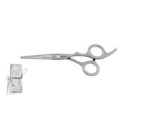 Forbici per Tagliare i Capelli Jaguar Silver Line Euphorie 5,5 Pollici 72055-1