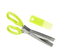 Forbici per verdure - Cesoie da cucina a 5 lame in acciaio inossidabile,Utensile da taglio multifunzionale per tagliare insalata di cipolle e coriandolo, con pettine per la pulizia Rianpesn