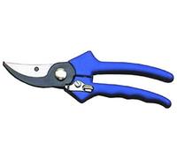 Due Buoi Forbice da vigna con lame in acciaio al carbonio 149/22 AB