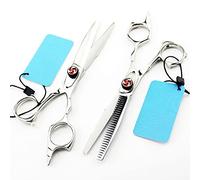 Forbici Professionali per Il Taglio dei Capelli, 5,5 Pollici, Giappone, Taglio Argento, Forbici da Parrucchiere, Forbici da Barbiere, Forbici per sfoltire, Forbici da Parrucchiere (Set)