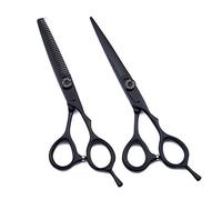Forbici Professionali per Il Taglio dei Capelli, 6,0 Pollici, Giappone 440C, Forbici Professionali per Parrucchiere, Set di Forbici per Il Taglio dei Capelli, Forbici da Barbiere, Set di Forbici da