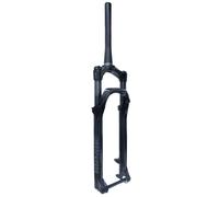 Rockshox Judy Silver Fb Rl 15x110 Tapered Boost Mtb Fork Argento 29´´ / 100 mm Black