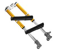 Forcella Anteriore per Minibici 49cc, Acciaio e Plastica, 1 Pezzo | Ammortizzazione per Terreni Sconnessi, Montaggio Supporto Pinza Freno, Acciaio Inox, Uso Agonistico