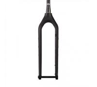 Forcella Rigida MTB Carbonio 29 Disco 15x110 Tapered Lithic Rake 44