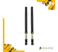 Forcelle Moto Anteriori Ohlins Black USD 43 FF 521 Front Fork R&T