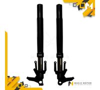 Forcelle Moto Anteriori Ohlins per Harley-Davidson CVO Road Glide ST FGRT 307