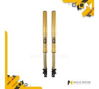 Forcelle Moto Anteriori Ohlins versioni DCT/ABS per Honda CRF 1000 LA FFHO 101
