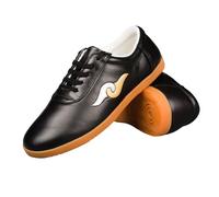 ForceRoute Tai Chi Scarpe,Kung Fu Scarpe,Scarpe Arti Marziali,Scarpe Taekwondo,Scarpe da Karate,Unisex,Uomo Donna,Traspirante,Antiscivolo,Leggere,Morbid,per Meditazione e Qigong,Wing Chun