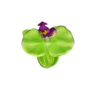 Forcina per capelli a forma di fiore, decorazione alla moda, portatile, accessorio per fotografia, per festa di nozze, vocazione quotidiana, n. 15, verde frutta Phalaenopsis