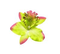 Forcina per capelli a forma di fiore, graziosa decorazione alla moda, accessorio decorativo per matrimoni casual, vocazione, verde