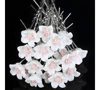 Forcina per capelli LI-27531 - Bianco
